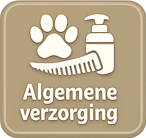 algemeen 1